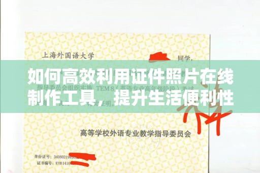 哈尔滨如何高效利用证件照片在线制作工具，提升生活便利性