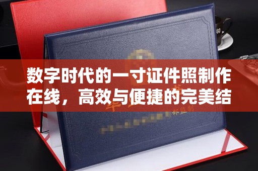 哈尔滨数字时代的一寸证件照制作在线，高效与便捷的完美结合