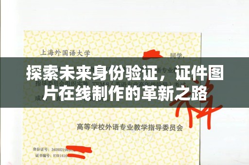 哈尔滨探索未来身份验证，证件图片在线制作的革新之路