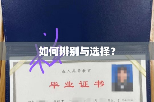 哈尔滨如何辨别与选择？