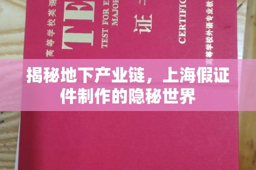 哈尔滨揭秘地下产业链，上海假证件制作的隐秘世界