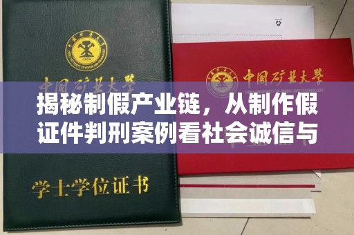 哈尔滨揭秘制假产业链，从制作假证件判刑案例看社会诚信与法律防线
