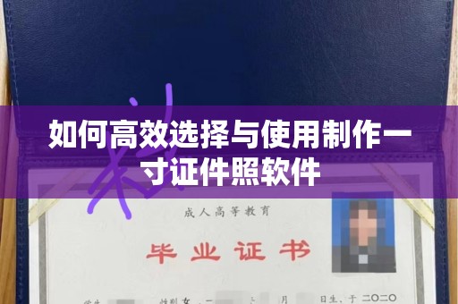 哈尔滨如何高效选择与使用制作一寸证件照软件