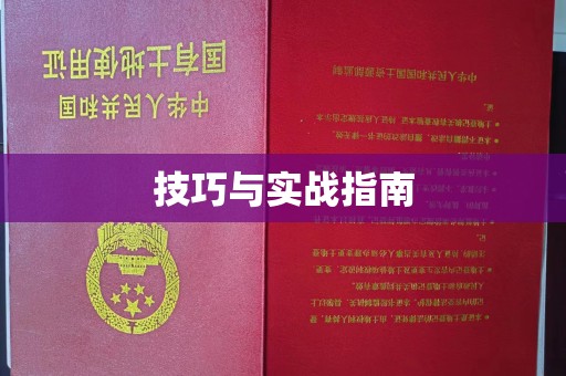哈尔滨技巧与实战指南