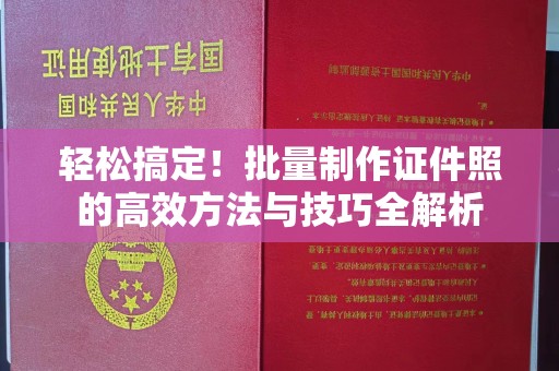 哈尔滨轻松搞定！批量制作证件照的高效方法与技巧全解析