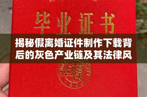 哈尔滨揭秘假离婚证件制作下载背后的灰色产业链及其法律风险
