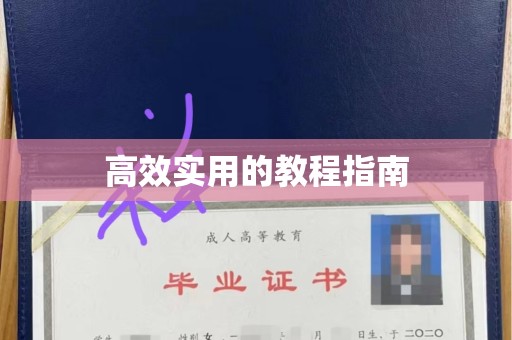 哈尔滨高效实用的教程指南