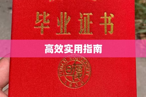 哈尔滨高效实用指南