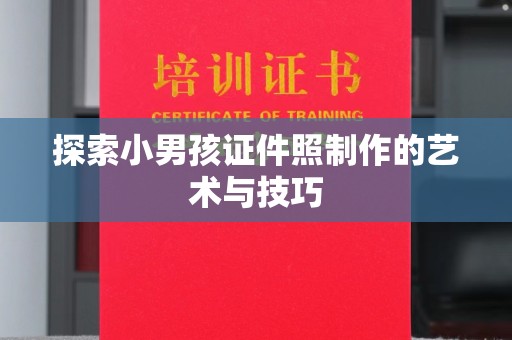 哈尔滨探索小男孩证件照制作的艺术与技巧