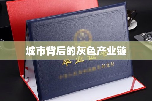 哈尔滨城市背后的灰色产业链