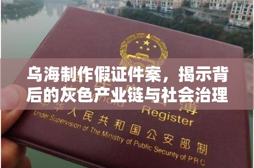 哈尔滨乌海制作假证件案，揭示背后的灰色产业链与社会治理挑战