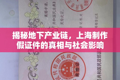 哈尔滨揭秘地下产业链，上海制作假证件的真相与社会影响