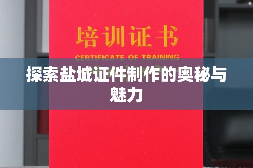 哈尔滨探索盐城证件制作的奥秘与魅力