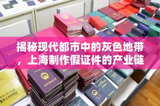 哈尔滨揭秘现代都市中的灰色地带，上海制作假证件的产业链