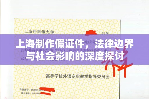 哈尔滨上海制作假证件，法律边界与社会影响的深度探讨