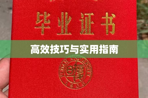 哈尔滨高效技巧与实用指南