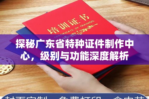 哈尔滨探秘广东省特种证件制作中心，级别与功能深度解析