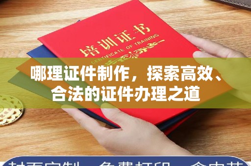 哈尔滨哪理证件制作，探索高效、合法的证件办理之道