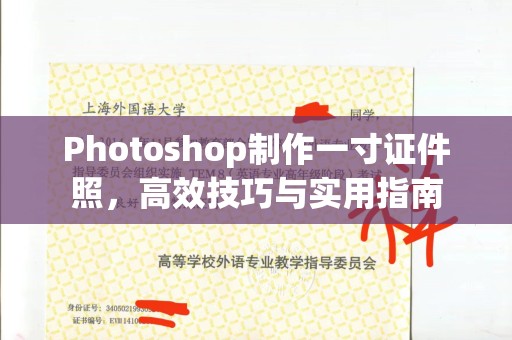 哈尔滨Photoshop制作一寸证件照，高效技巧与实用指南