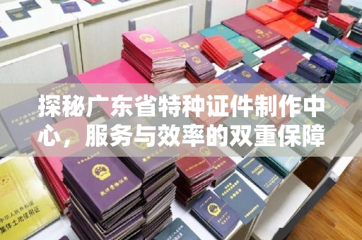 哈尔滨探秘广东省特种证件制作中心，服务与效率的双重保障